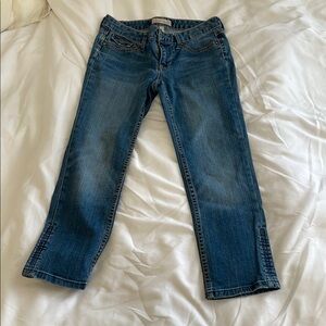 Banana Republic Women's Straight Leg Blue Jeans